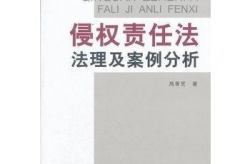 侵权责任法全文,全面解析民事权益保护与侵权责任承担