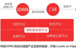 母婴网站懂母婴,从孕期到育儿期的贴心指南