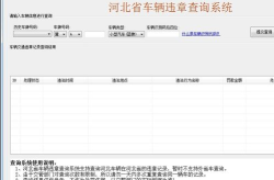 山东违章查询车辆违章查询,轻松掌握行车安全