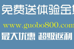 南邓娱乐,引领潮流的娱乐新势力